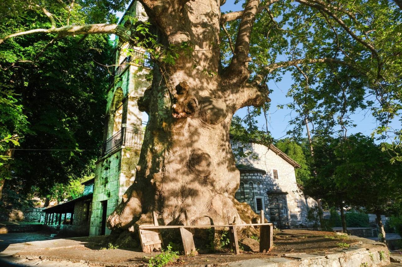 A Dream Deferred Villa Pelion Kissos  Zewnętrze zdjęcie
