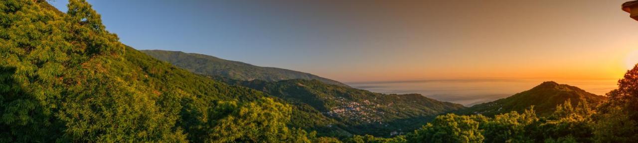 A Dream Deferred Villa Pelion Kissos  Zewnętrze zdjęcie